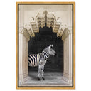 Zebras Apartment is Cream