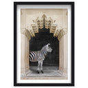 Zebras Apartment is Cream