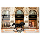 Royal Shopping in Italy