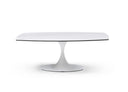 Amarosa Coffee Table
