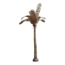 Palm Tree