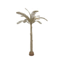 Palm Tree, view 2