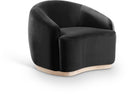 Gustavo Velvet Upholstered Accent Chair - Black