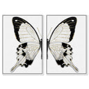 Monochrome Butterfly SET