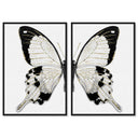 Monochrome Butterfly SET