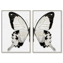 Monochrome Butterfly SET