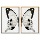Monochrome Butterfly SET
