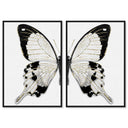 Monochrome Butterfly SET