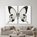 Monochrome Butterfly SET