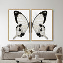 Monochrome Butterfly SET