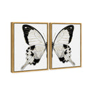 Monochrome Butterfly SET