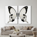 Monochrome Butterfly SET