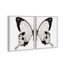 Monochrome Butterfly SET