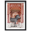 Zebra Destination Arch