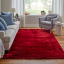 Indochine 4550F Platinum