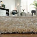 Indochine 4550F Platinum