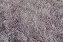 Indochine 4550F Platinum