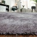 Indochine 4550F Platinum