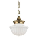 Aged Brass Dutchess Pendant 9" by Hudson Valley