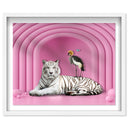 Vibrant Pink Tiger