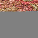 6170F Red