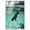 Panther Swim