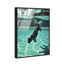 Panther Swim