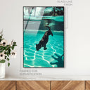 Panther Swim