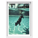 Panther Swim