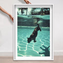 Panther Swim