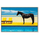 Palm Springs Stallion