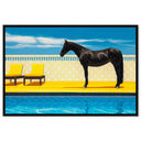 Palm Springs Stallion