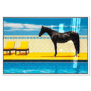 Palm Springs Stallion