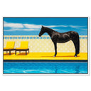 Palm Springs Stallion