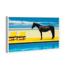 Palm Springs Stallion