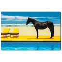 Palm Springs Stallion
