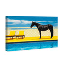 Palm Springs Stallion