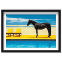 Palm Springs Stallion