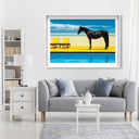 Palm Springs Stallion