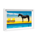 Palm Springs Stallion