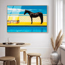 Palm Springs Stallion