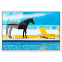 Palm Springs Stallion 2