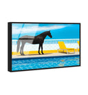 Palm Springs Stallion 2