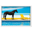 Palm Springs Stallion 2