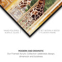 Royal Giraffes Set