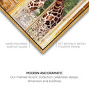 Royal Giraffes Set