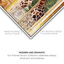Royal Giraffes Set