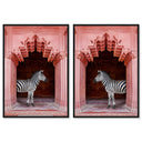 Zebras Apartment is Coral Pink Set