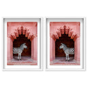 Zebras Apartment is Coral Pink Set