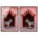 Zebras Apartment is Coral Pink Set